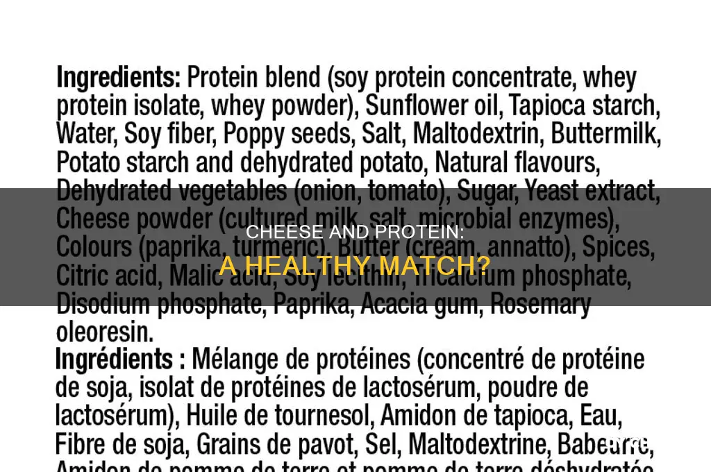is cheese good for protein diet
