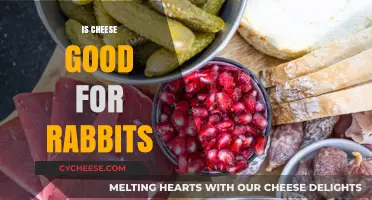 Cheese and Rabbits: A Healthy Mix?