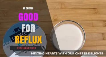 Cheese and Reflux: A Healthy Combination?