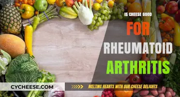 Cheese and Rheumatoid Arthritis: A Healthy Relationship?