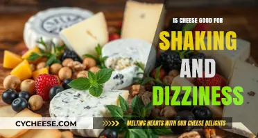 Cheese: A Natural Remedy for Shaking and Dizziness?