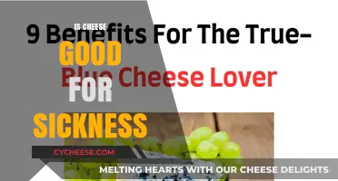 Cheese: A Superfood to Fight Sickness?