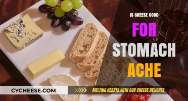 Cheese and Stomach Aches: A Healthy Relationship?