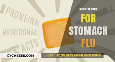 Cheese and Stomach Flu: A Healthy Match?