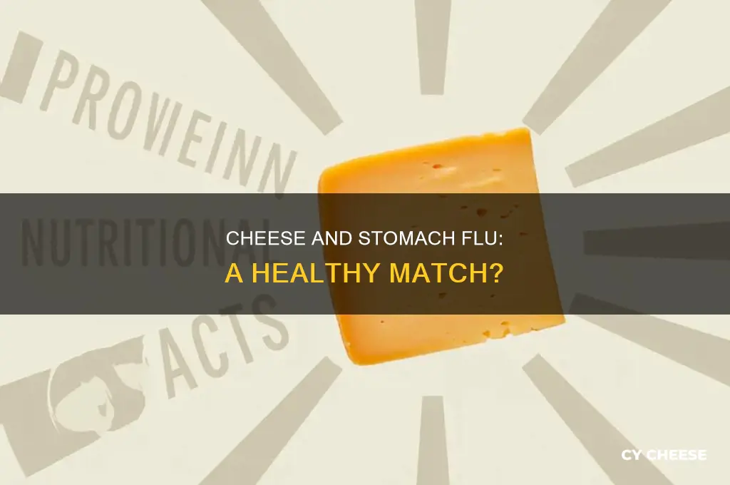 is cheese good for stomach flu