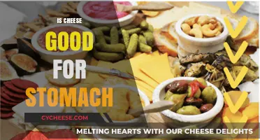 Cheese and Stomach Health: What's the Verdict?