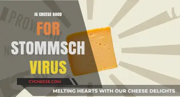 Cheese and Stomach Virus: Friend or Foe?