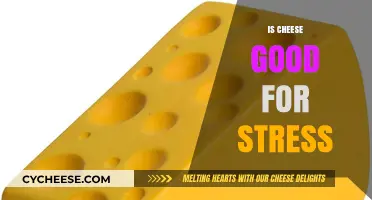 Cheese: A Tasty Solution to Stress?