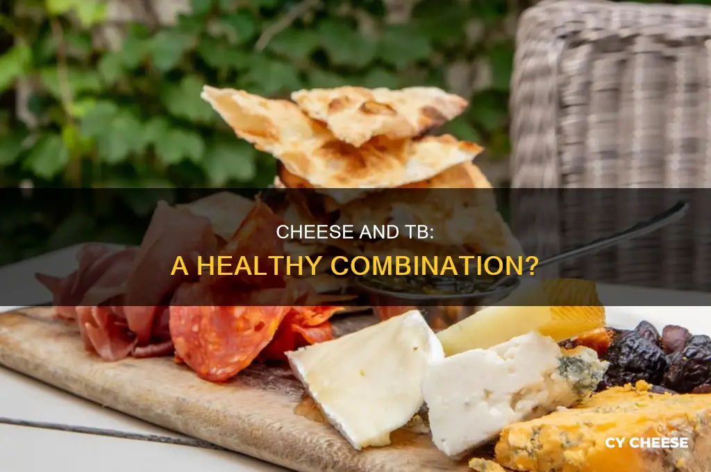 is cheese good for tb patients