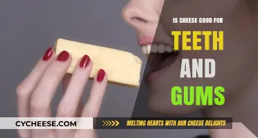 Cheese: A Healthy Snack for Teeth and Gums?
