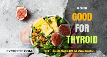 Cheese and Thyroid: A Healthy Match?