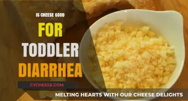 Cheese and Toddler Diarrhea: A Healthy Solution?