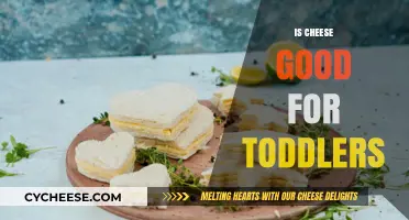 Cheese for Toddlers: Benefits and Best Practices