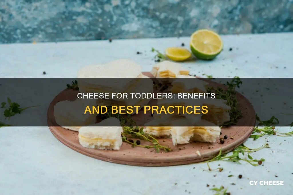 is cheese good for toddlers