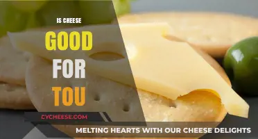 Cheese: Healthy or Unhealthy?