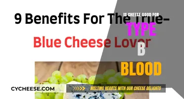 Cheese and Type B Blood: A Healthy Match?