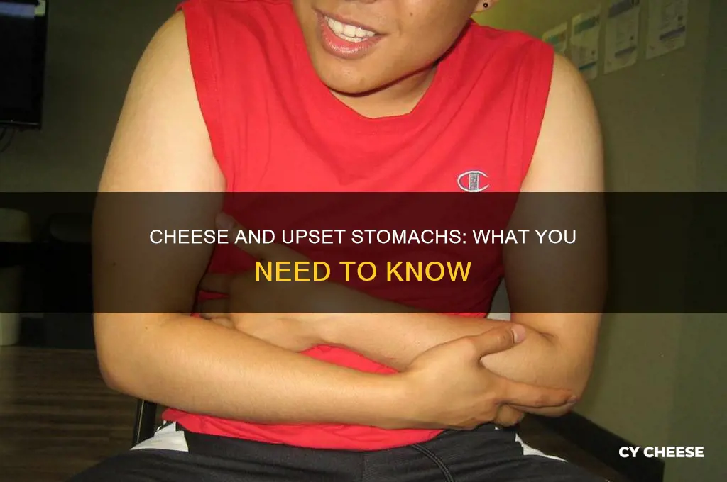 is cheese good for upset stomach