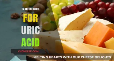 Cheese and Uric Acid: A Healthy Balance?