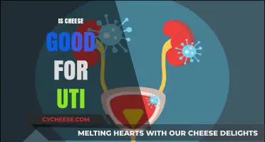 Cheese and UTI: What's the Connection?