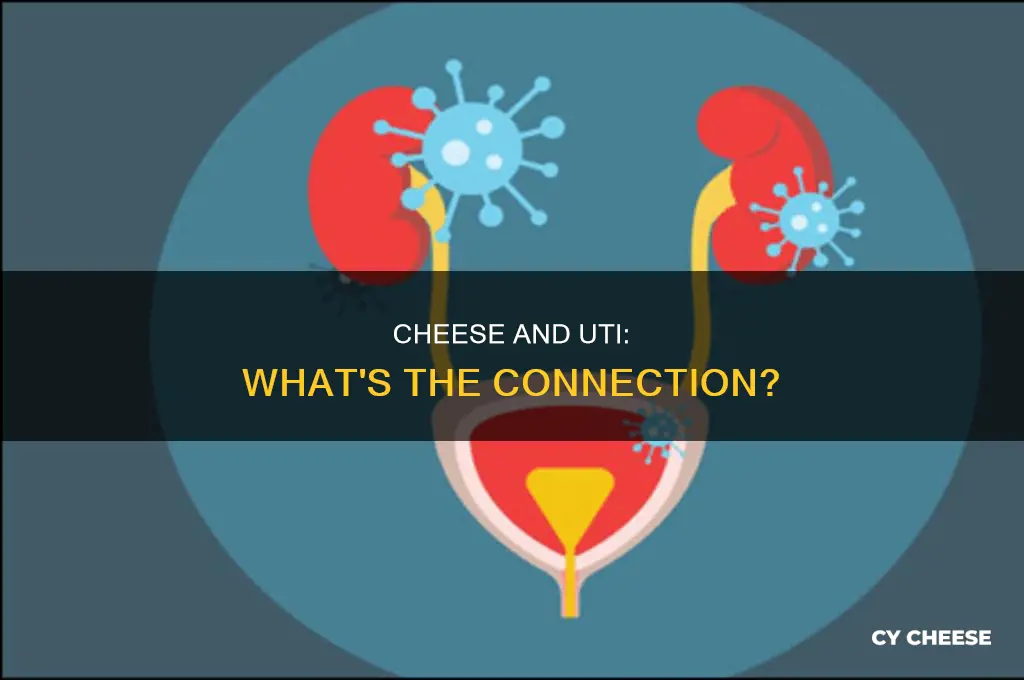 is cheese good for uti