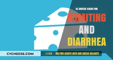 Cheese: Friend or Foe During Vomiting and Diarrhea?