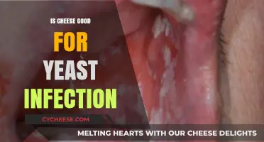 Cheese and Yeast Infections: A Healthy Combination?