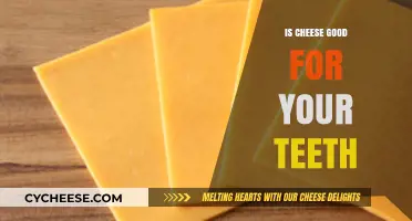 Cheese and Dental Health: Benefits or Myths for Your Teeth?
