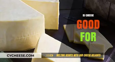 Cheese: Healthy or Harmful?