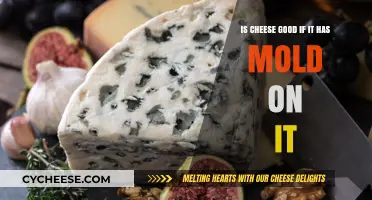 Cheese and Mold: When to Toss, When to Eat