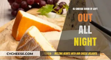 Cheese Left Out Overnight: Safe or Not?