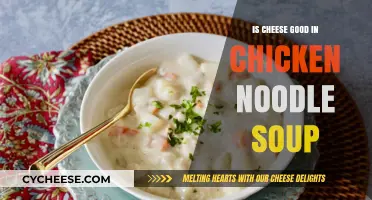 Cheese in Chicken Noodle Soup: Good or Bad?