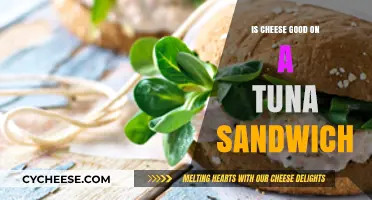 Cheese and Tuna: A Match Made in Heaven?