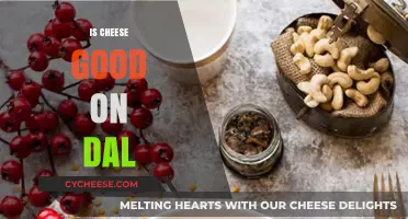 Cheese on Dal: A Culinary Adventure