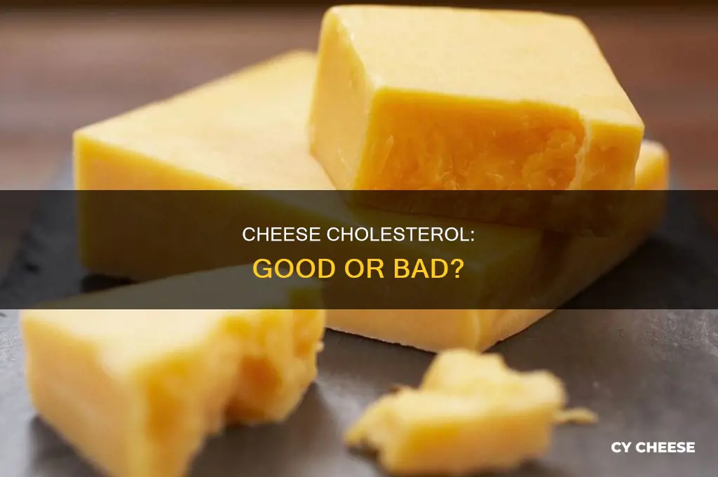is cheese good or bad cholesterol