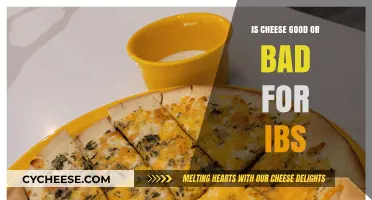 Cheese and IBS: What You Need to Know