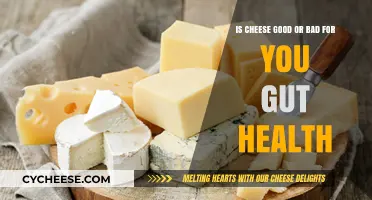 Cheese and Gut Health: Friend or Foe?