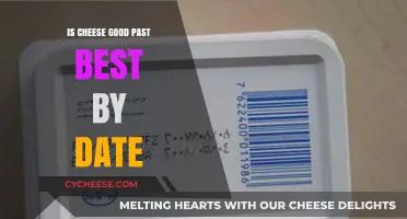 Cheese Expiration: How Long Does Cheese Really Last?