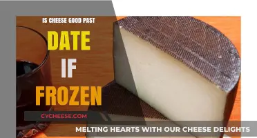 Freezing Cheese: How Long Can You Keep It?