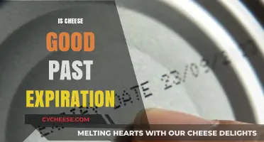 Cheese Expiration: When to Trust Your Taste Buds