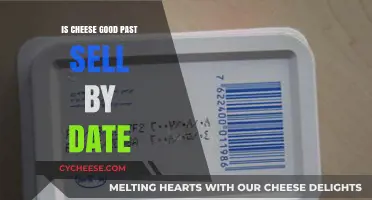 Cheese Expiration: How Safe is it Past the Sell-By Date?