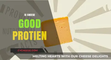 Cheese: A Healthy Protein-Rich Superfood?