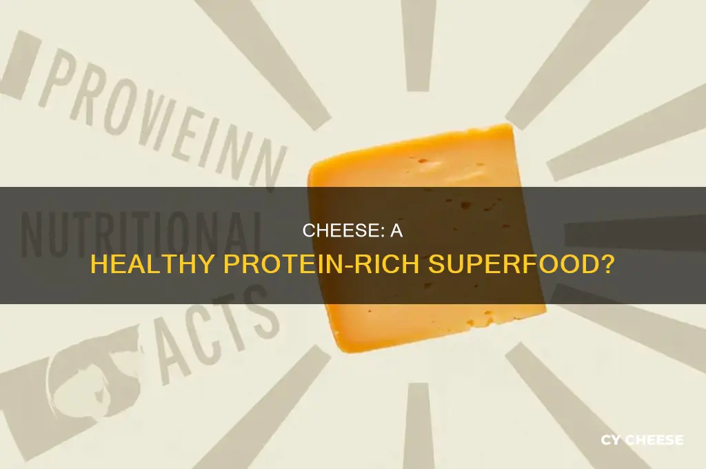 is cheese good protien