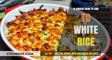 Cheese and Rice: A Delicious Combination?