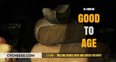 Cheese Aging: The Art of Taste Perfection