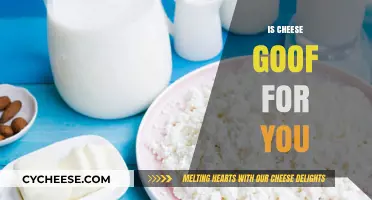 Is Cheese Healthy? Unraveling the Nutritional Pros and Cons