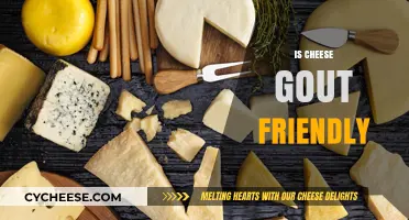 Cheese and Gout: Understanding Its Impact on Your Diet
