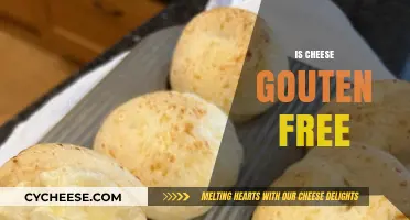 Gluten-Free Cheese: What You Need to Know