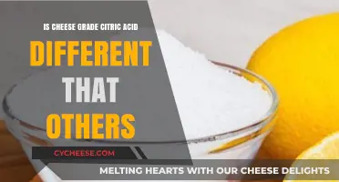 Cheese Grade Citric Acid vs. Others: Key Differences Explained