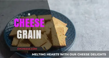 Is Cheese Grain-Free? Unraveling the Truth About Cheese and Grains