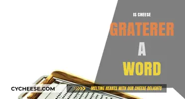 Is Cheese Graterer a Real Word? Exploring Culinary Vocabulary and Tools